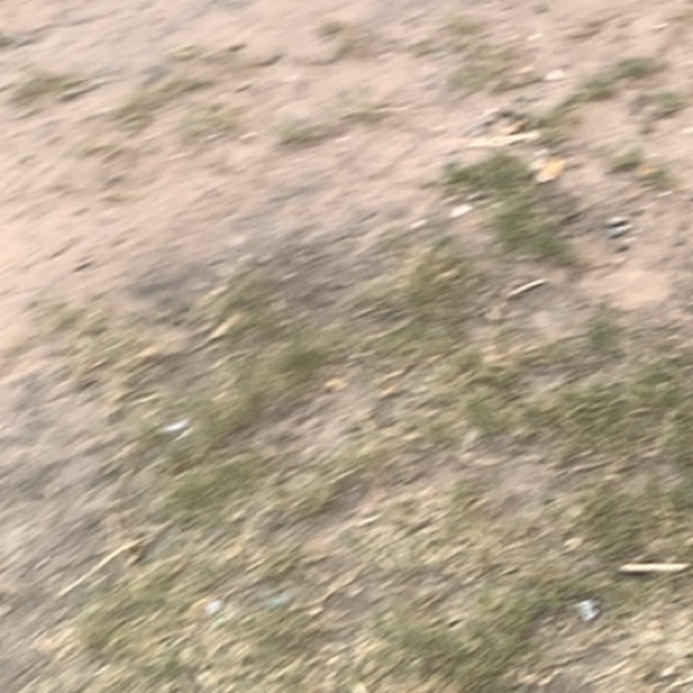 Meet your Posher, Tonia